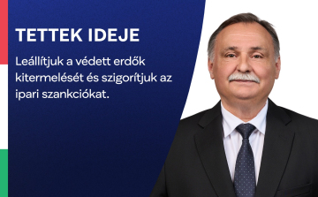 Gajdos László: leállítják a védett erdők kitermelését, és szigorítják az ipari szankciókat